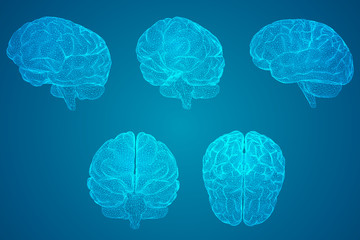 部编版小学六年级上册语文只有一个地球教案5篇