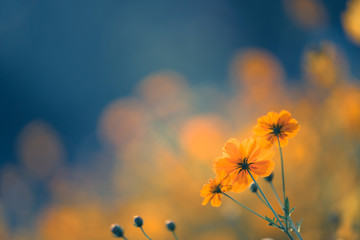 幼儿园小学生教案怎么写