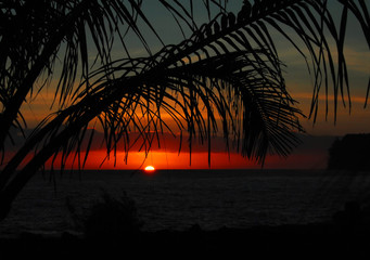 微生物有哪些作用？