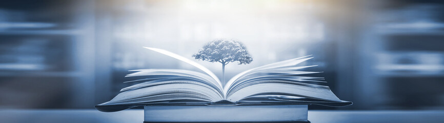 家庭养花入门知识大全