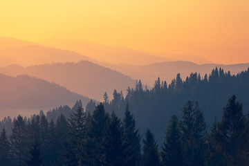 汽车发电机为什么会坏-