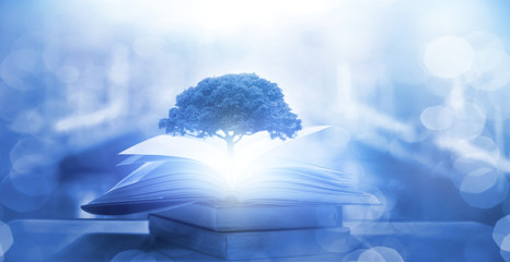 婚礼司仪主持词