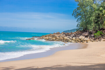 微生物有哪些作用？