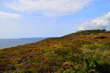 部编版小学六年级上册语文只有一个地球教案5篇
