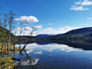 玩家辅助神器：“菠萝德州可以开挂吗”分享用挂教程