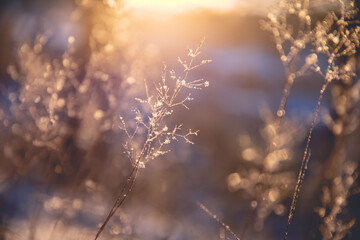 内燃机车（火车）可分为哪些种类？