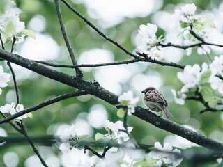 科普实测“浙江游戏大厅辅助器随意选牌”(原来确实是有挂)