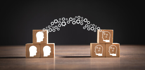 家庭养花入门知识大全