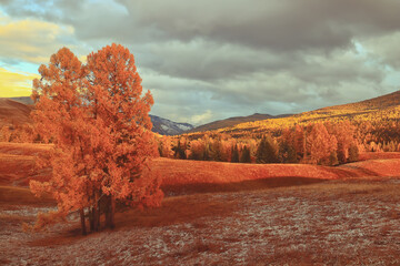 婚礼司仪主持词