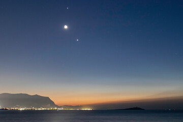 家庭养花入门知识大全