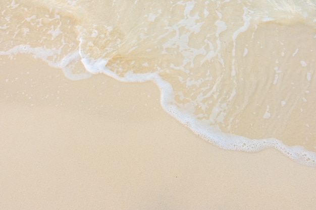 幼儿园小学生教案怎么写