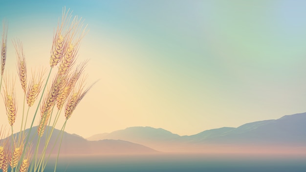 家庭养花入门知识大全