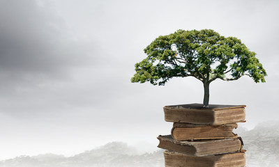 家庭养花入门知识大全