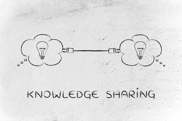 家庭养花入门知识大全