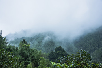 汽车发电机为什么会坏-
